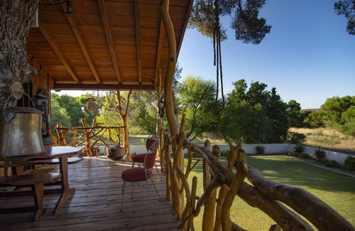 Tubac Cabin | Tubac Treehouse - built by the Treehouse Guys, LLC.