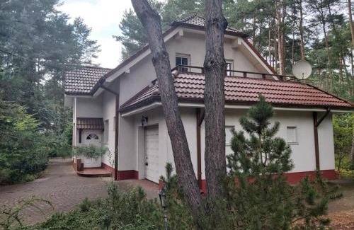 Promnice House | Tuczno Dom w lesie