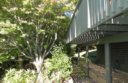 Lake Tarawera House | Tui Glen - Lake front bach with stunning views