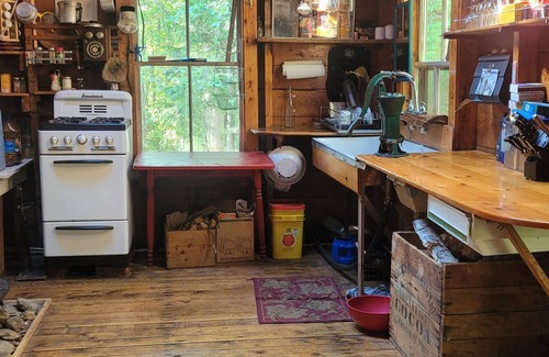 Forest CIty Cottage | Turn Of The Century Cabin On Private Island