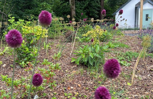 Windermere Cottage | Turn up. Switch off Surrounded by trees with stream nearby, perfect escape for 2