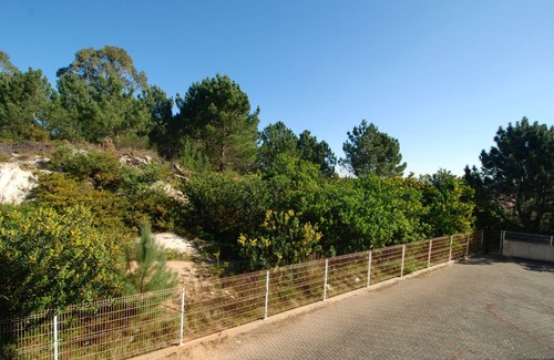 Nazare Apartment | Turtle - 3 bedroom apartment in Nazaré with 2 shared pools and private terrace