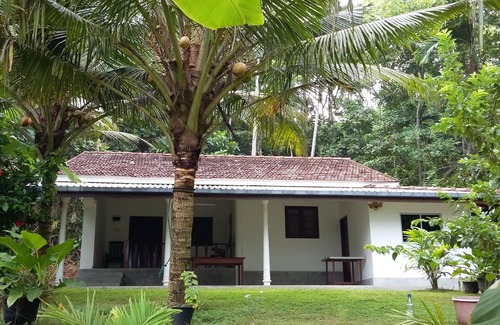 Matara Villa | Turtle Surf Whale Watching