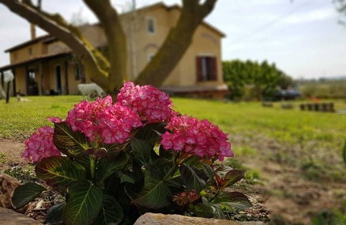 Massama House | Tuscan type farmhouse, nestled in a hectare of countryside, but a few km from Oristano