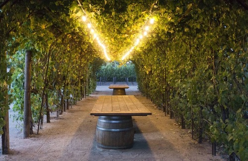 Morgan Hill Villa | Tuscan villa nestled in the vineyard - Villa Riposo