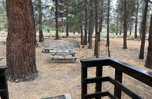 Bridgeport House | Twin Lakes,CA. Views, Beautifully Decorated, Private/Quiet; Fish in the Creek