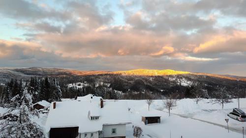 Mitterfirmiansreut Apartment | Two Apartaments Almberg - Mitterdorf-Mitterfirmiansreut