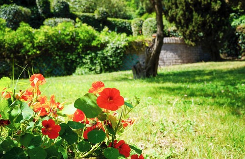 Lake Bracciano Villa | Two Cozy Cottages with Lake and Castle Views