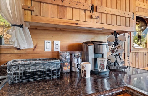 Sevierville Cabin | Two Dancing Bear Cubs – Boogie With The Bears