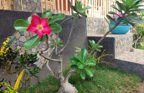 Kuta House | Two One Homestay