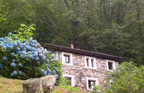 Brissago House | Typical rustico on the edge of the village idyllically bordering the forest