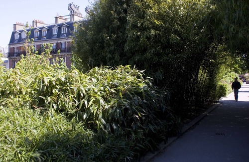 12th Arrondissement Apartment | Typiquement Parisien, Simple, Confortable et Bien Situé