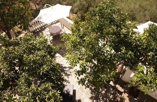 Gazzelli Apartment | U Rundo Mimosa. Swimmingpool - open from 15/05 Terrace Small garden Internet-Access