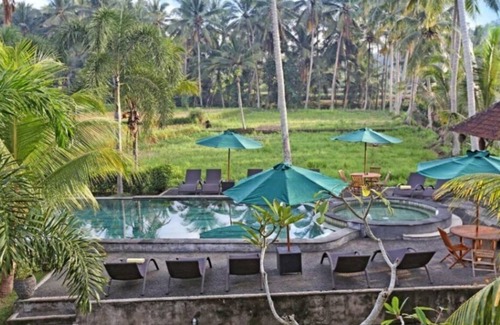 Kemenuh Villa | Ubud Rice Field View 1 Bedroom Private Pool Villa