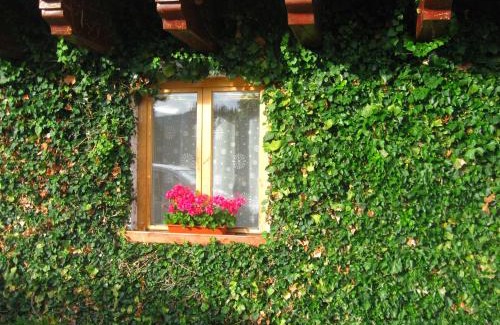Prasily Apartment | Ubytování na Slučím Tahu
