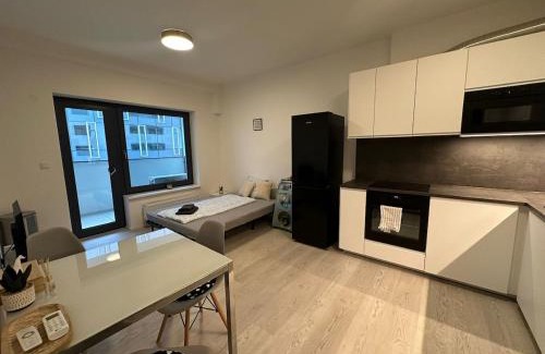 Brno-stred Apartment | Ubytování v centru Brna u hlavního nádraží s garáží