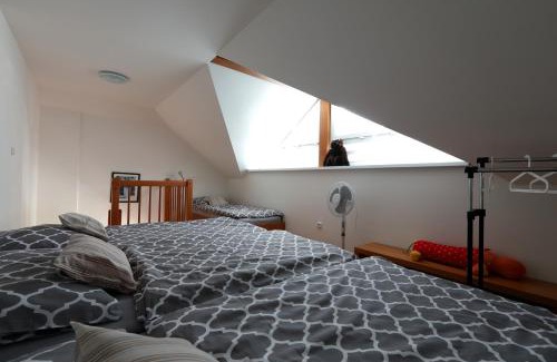 Sobotka Apartment | Ubytování Vila Sobotka