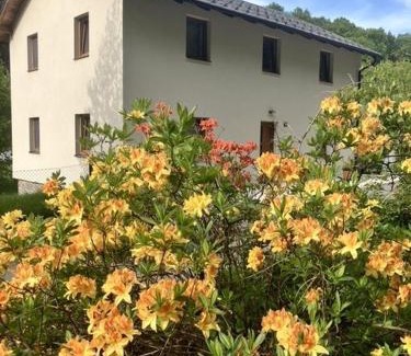 Radvanovice Apartment | Ubytováni V Údolí