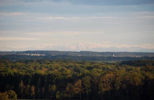 Elchingen Apartment | Ulmer Münster Blick
