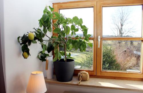 Rottenbuch Apartment | Ultra Alpes Luitpold