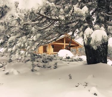 Osmangazi Cabin | Uludag Orman Koskleri
