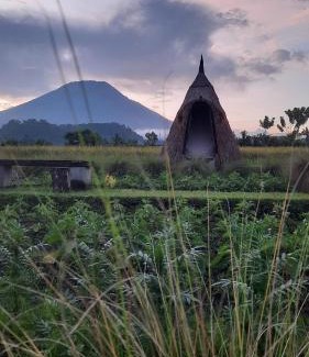 Karangasem Other | Uma Buug