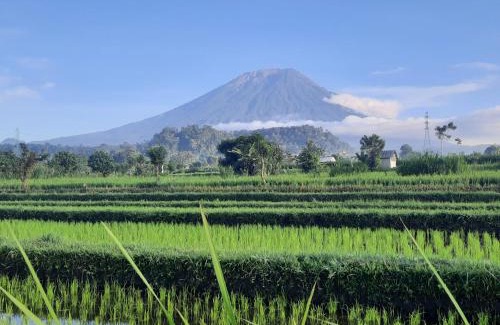 Karangasem Other | Uma Buug