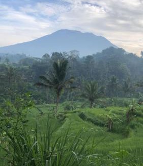 Selat House | Uma Iseh Bali