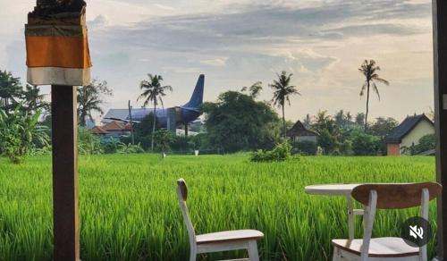 Medahan House | Uma Menuh Surf House