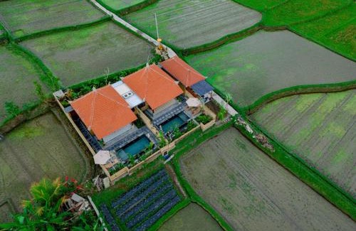 Sebatu Villa | Umesari Villa Sebatu