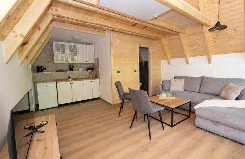 Mali Radic Apartment | Una Olympic House