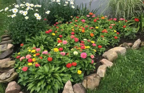 Detroit - Shoreway Apartment | Unique 2 BR in Lively Gordon Square!