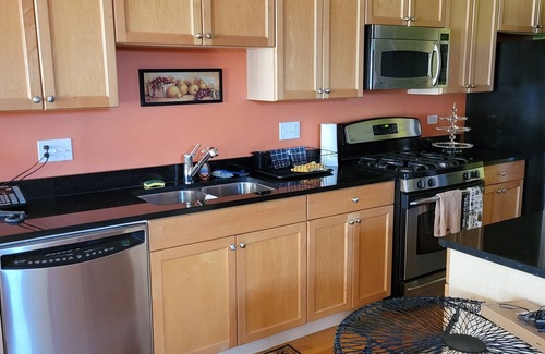 Bronzeville House | Unique and Chic home. rooftop deck, near lakefront. Easy commute to downtown.
