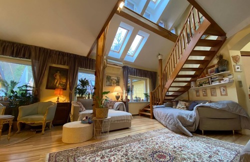 Ljubljana Old Town Apartment | Unique apartment in the center of Ljubljana