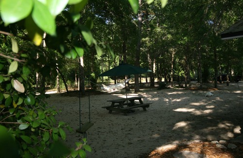 Ponce De Leon House | Unique, beautiful River Front Property w/canoeing, kayaking and wildlife viewing