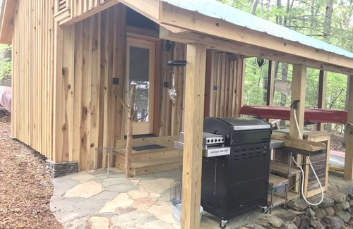 Huddleston Cabin | Unique Historical log cabin with private beach and 300 ft. of waterfrontage.