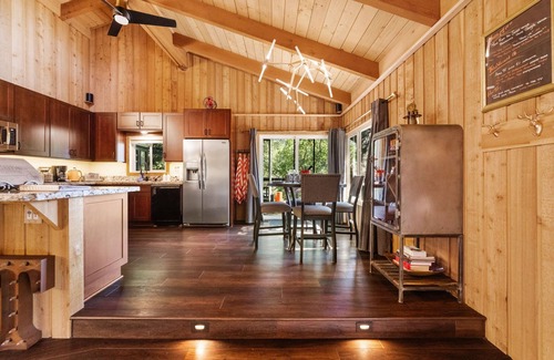 Idyllwild Cabin | Unique Modern Cabin w/spa, dry sauna