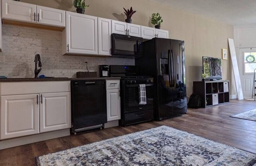 Davenport Apartment | Unique, Pet Friendly Re-model near SAU & Downtown