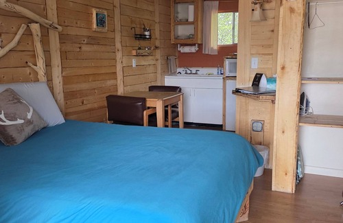 Cedaredge Cabin | “Unit 3 at the Cedaredge Lodge: Snuggle In With Your Pet in True Colorado Style”