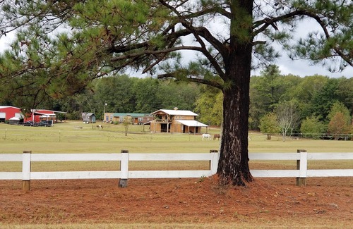 Georgia Coast House | Unplug and unwind in this tiny home featured on Season 1 HGTV Tiny house hunter.