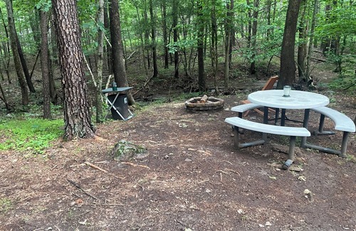 Star Tannery RV Rental | Unplug,Unwind, and Relax in Rustic Comfort—Mountain Air, Starry Nights