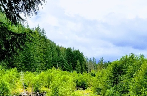 Carson House | Unplugged Getaway along Trout Creek