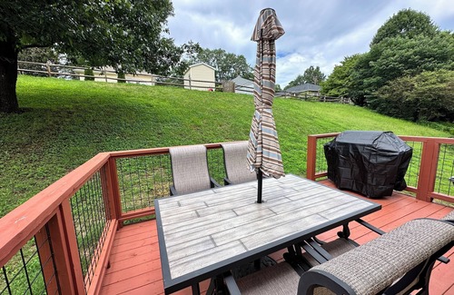 Belmont Historic District House | Updated 2-bedroom house in Belmont - Walking Distance to Downtown and Lake