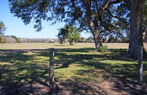 Round Top Cabin | Updated Cabin On Over 10 Acres In Round Top