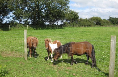 Haverfordwest House | Upper Calffield Farm