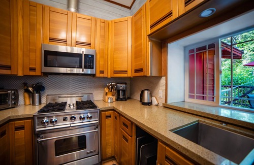 Guerneville House | Upscale Cabin with 2 Master Bedrooms on creek with fireplace. Dog friendly.
