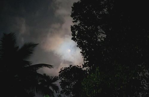 Nelluwa House | urakon home stay