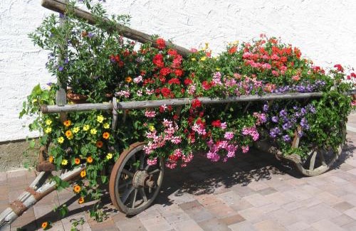 Mariapfarr Apartment | Urlaub am Kräutlhof in Mariapfarr