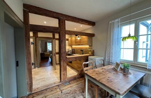 Sebnitz Apartment | Urlaubsfreude Biedermann Haus Blumenglück - Gänseblümchen