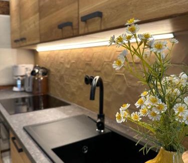 Sebnitz Apartment | Urlaubsfreude Biedermann Haus Blumenglück - Gänseblümchen